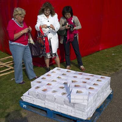 Royale Vorbereitungen