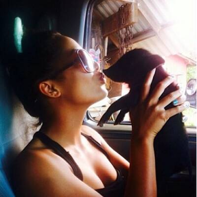 Das ist Kama, das surfende Schwein