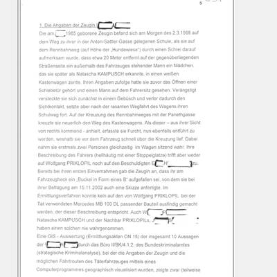 Fall Kampusch: Der Bericht von LStA Mühlbacher an das BMJ