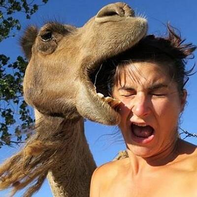 Die gefährlichsten Selfies