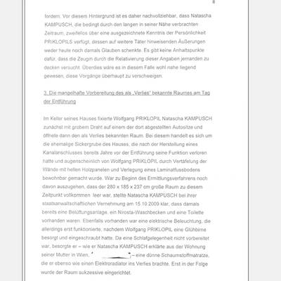 Fall Kampusch: Der Bericht von LStA Mühlbacher an das BMJ