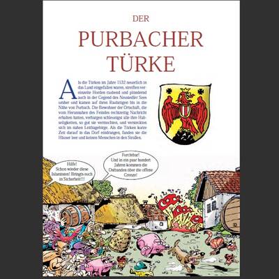 FP-Comic zur NR-Wahl 2013