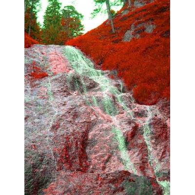 Die neuesten Urlaubsfotos