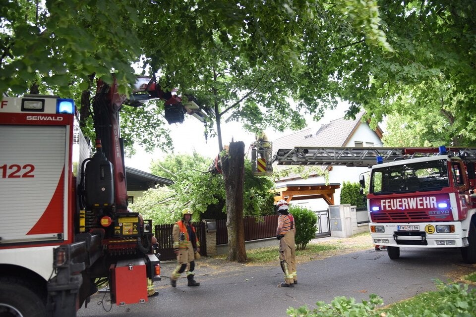 In der Parkallee in Ebreichsdorf stürzte ein Baum auf ein Telefonkabel und ein Grundstück.