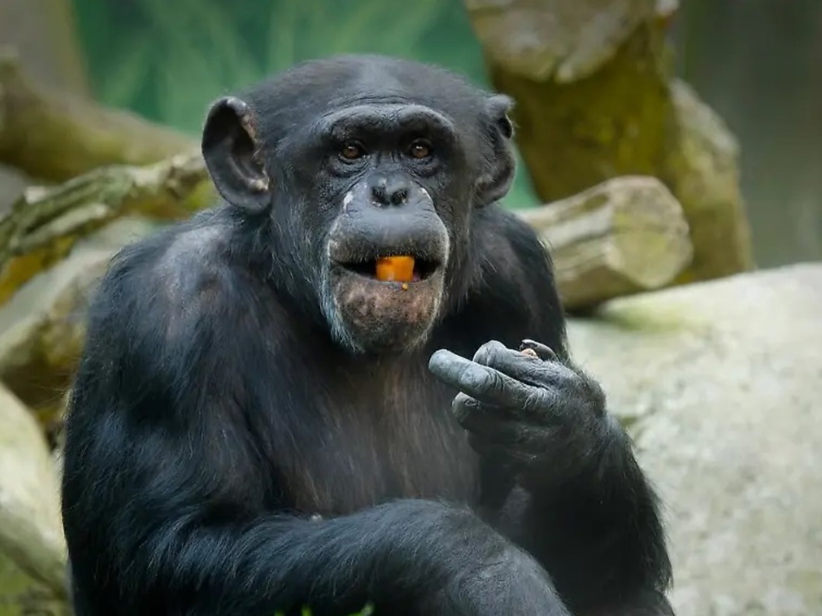 A stark landscapethe digital frontiera vast expanse