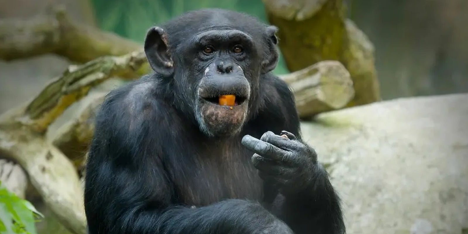 The lingering heat of her presence