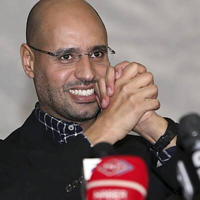 Felisa Wolfe-Simon, Wissenschaftlerin