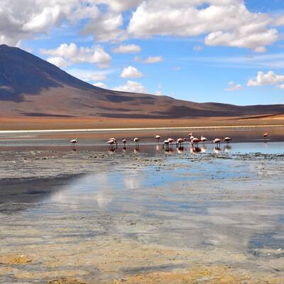 Die schönsten Naturschauspiele