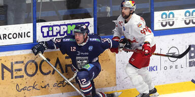 Salzburg gegen Fehervar um ersten Ligatitel seit 2016