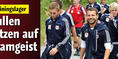 Bullen setzen auf Teamgeist