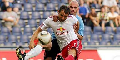 Bullen schon voll auf Kurs