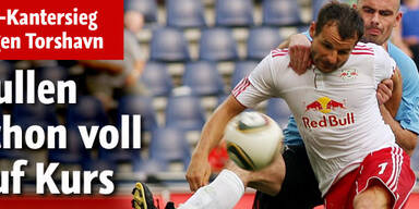 Bullen schon voll auf Kurs