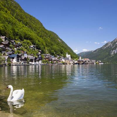 Kitzbühler Alpen (T): Sonnig, 15° in 1000 m