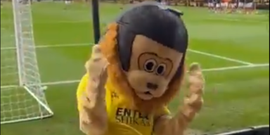 Betrunkenes Fu&szlig;ball-Maskottchen aus Stadion geworfen