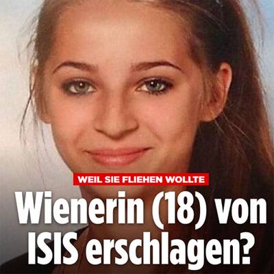 oe24-Story geht um die Welt