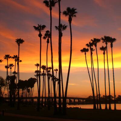 Der größte Pool der Welt