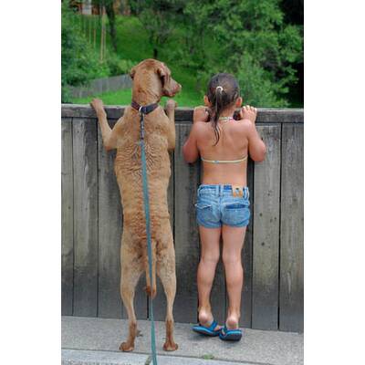 Das lustigste Sommerfoto