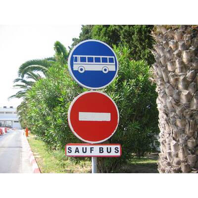 Die neuesten Urlaubsfotos