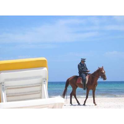 Die neuesten Urlaubsfotos