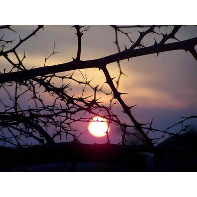 Die neuesten Urlaubsfotos