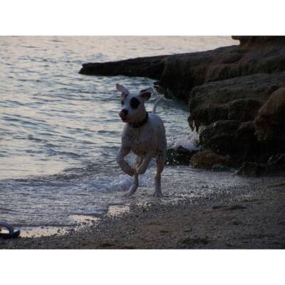 Die neuesten Urlaubsfotos