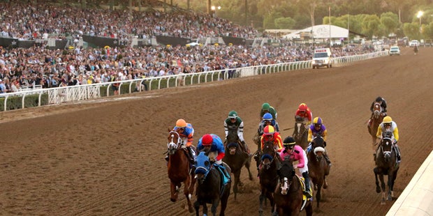 37 tote Pferde in nur einem Jahr auf Stronachs Rennbahn