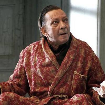 Sandra Cervik, Josefstadt-Schauspielerin