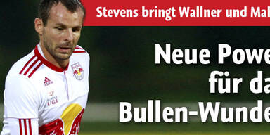Neue Power für das Bullen-Wunder
