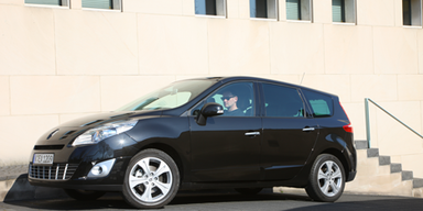 Überblick über die beliebtesten heimischen Vans