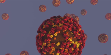 828 Todesf&auml;lle an einem Tag in Russland