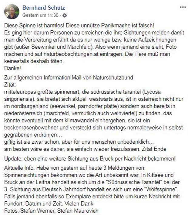 Wo sie in Österreich Angst vor Giftspinnen haben müssen