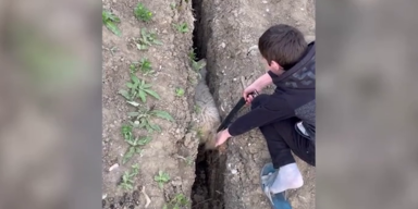 Junge zieht Schaf aus einer Grube