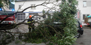 Hagel-Front verwüstet Österreich