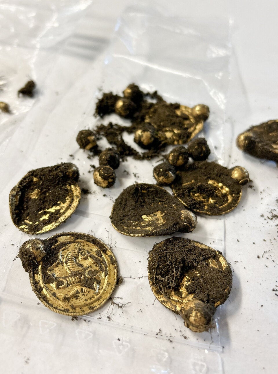 Norweger entdeckt ''Goldschatz des Jahrhunderts''