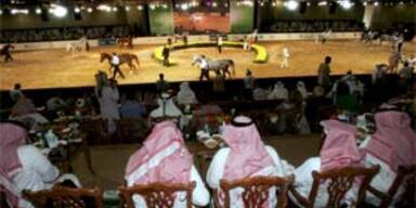 scheich_pferdegucken