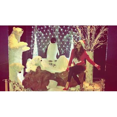 Die Stars sind schon in Weihnachts-Stimmung