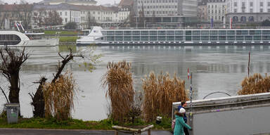 Schiff in Linz