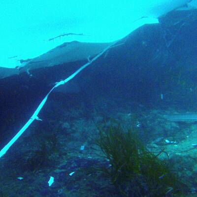 Taucher suchen im Wrack nach Vermissten