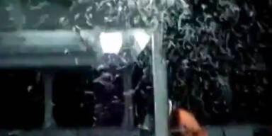 Ekelig: Schiff versinkt in Nebel aus Fliegen