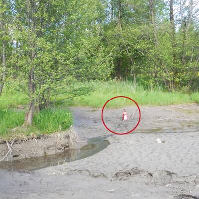 Bub versinkt im Schlamm