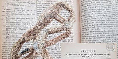 Schlangenhaut als Lesezeichen in Uni-Bibliothek entdeckt