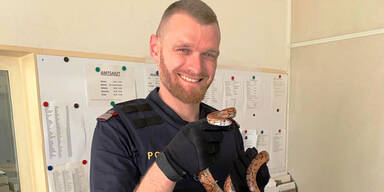 Schlangen-Alarm in Wien l&ouml;st Polizei-Einsatz aus