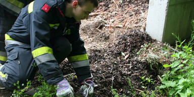 Schlangenalarm im Supermarkt
