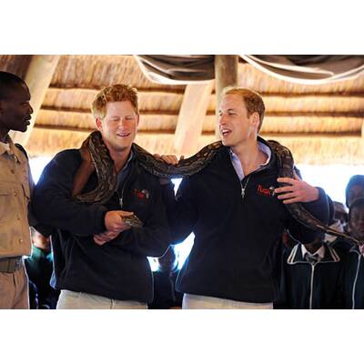 Vuvuzela & Raubtiere: William & Harry in Afrika