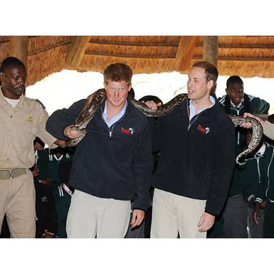 Vuvuzela & Raubtiere: William & Harry in Afrika