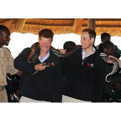 Vuvuzela & Raubtiere: William & Harry in Afrika