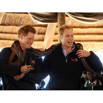 Vuvuzela & Raubtiere: William & Harry in Afrika
