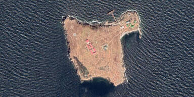 Schlangeninsel Ukraine Zmiinyi