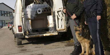 schlepper2_petschenig