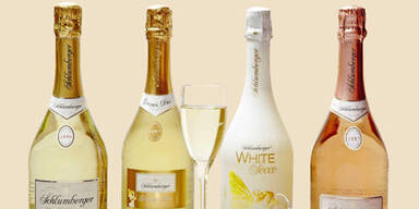 schlumberger_family_braun1